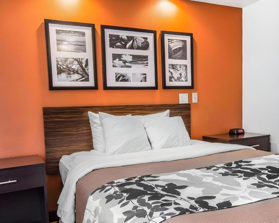 Sleep Inn Bessemer Helena Buitenkant foto