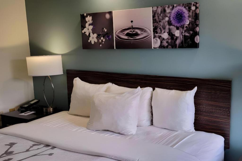 Sleep Inn Bessemer Helena Buitenkant foto