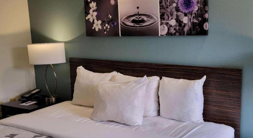 Sleep Inn Bessemer Helena Buitenkant foto
